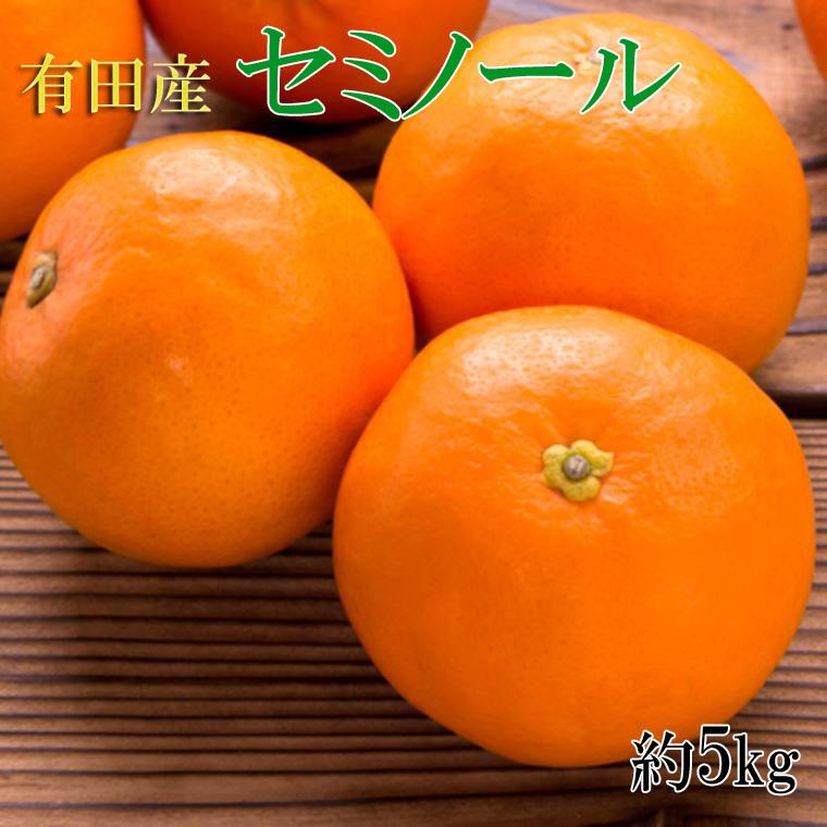 和歌山有田産セミノールオレンジ約5kg(サイズおまかせ 秀品) ★2024年4月中頃より順次発送[TM24]