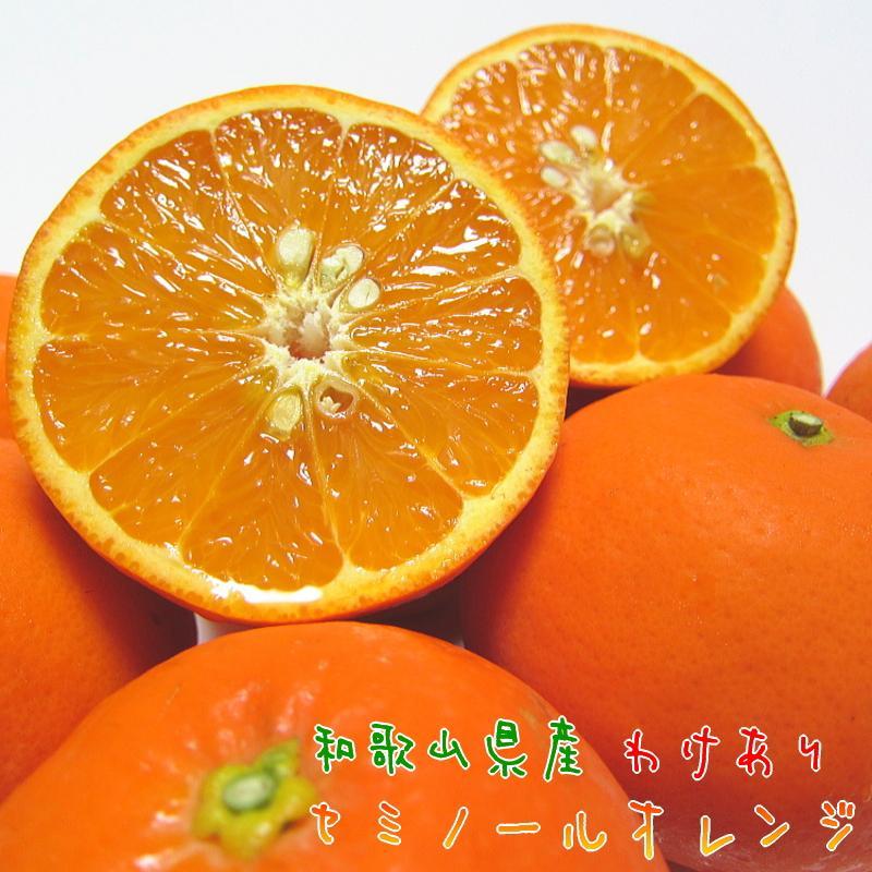【ふるさと納税】わけあり セミノール オレンジ 7.5kg【農家直送】【和歌山県産】【訳あり】【先行予約・2025年4月上…