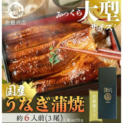 大型サイズ　ふっくら柔らか　国産うなぎ蒲焼き　3尾　化粧箱入【土用の丑の日のうなぎ】【～7月24日までにお届け】【UT06】 | 鰻 魚介類 水産 食品 人気 おすすめ 送料無料