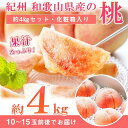 【ふるさと納税】秀品紀州和歌山産の桃約4kg化粧箱入【2025年6月下旬より順次発送】【UT106】 | 桃 モモ 果物 くだもの フルーツ 果実 旬の果物 旬...