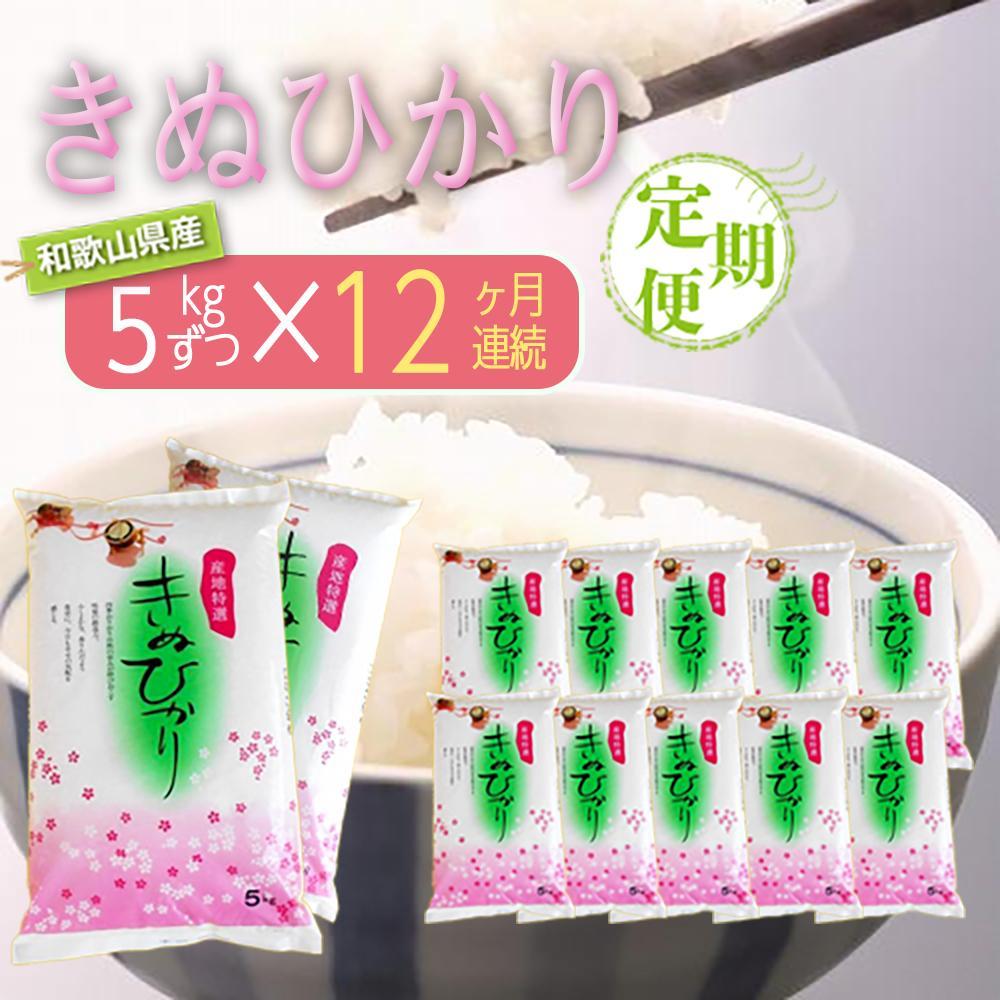 【ふるさと納税】【お米の定期便/全12回】和歌山県産 米 キヌヒカリ 60kg(5kg×12) 2025年産【SL22】 | お米 こめ 白米 食品 人気 おす...
