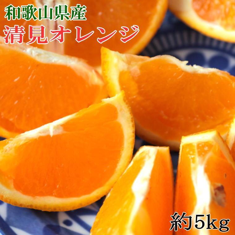 【ふるさと納税】和歌山県産清見オレンジ約5kg(サイズ混合)★2025年3月中旬頃より順次発送【TM160】 | デコポン 不知火 フルーツ 果物 くだもの 食品 人気 おすすめ 送料無料