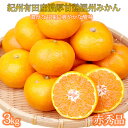 【ふるさと納税】赤秀品 紀州有田産濃厚完熟温州みかん 3kg(MサイズまたはSサイズ)【2025年11月下旬以降発送】【先行予約】【UT12】 | 期間限定 み...