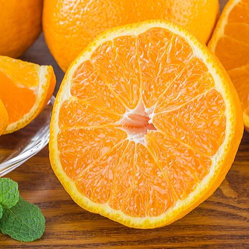 和歌山県那智勝浦町の画像2