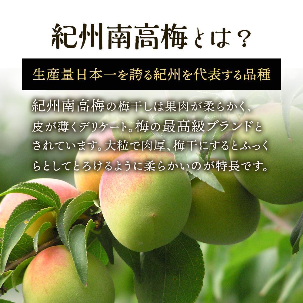 和歌山県那智勝浦町の画像2