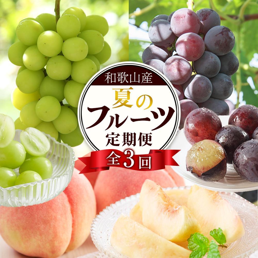 【ふるさと納税】定期便全3回 【7月・8月・9月発送】 和歌山のフルーツをお届け(桃・たねなしピオーネ・シャインマスカット)【TM180】 | フルーツ 果物 くだもの 食品 人気 おすすめ 送料無料 定期便 産地直送