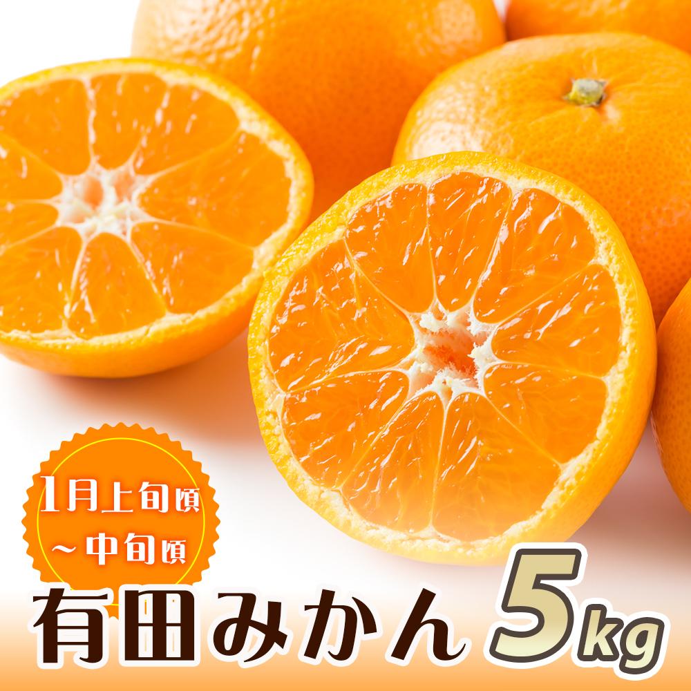 和歌山県那智勝浦町の画像2