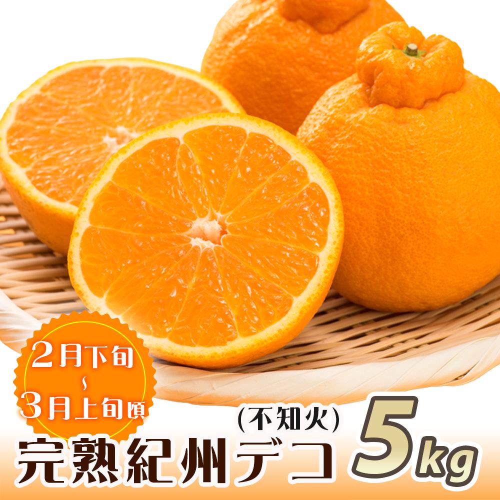 和歌山県那智勝浦町の画像3