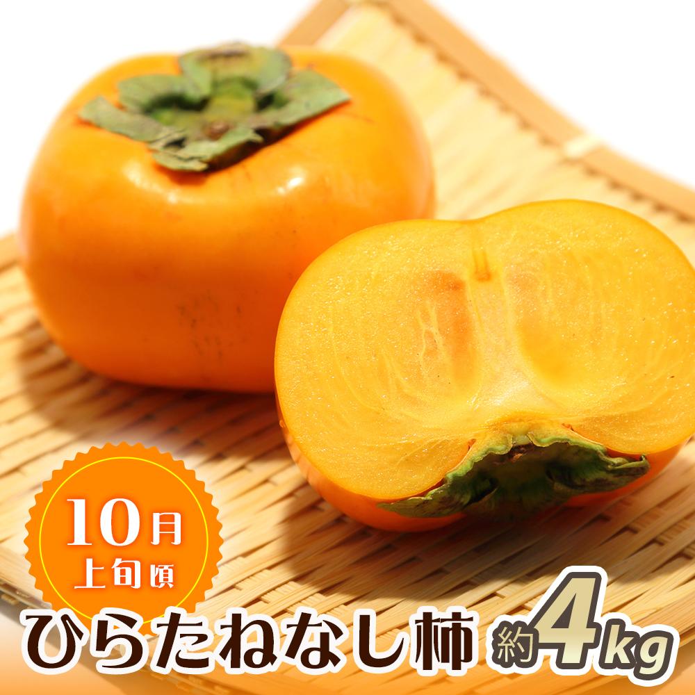 和歌山県那智勝浦町の画像2