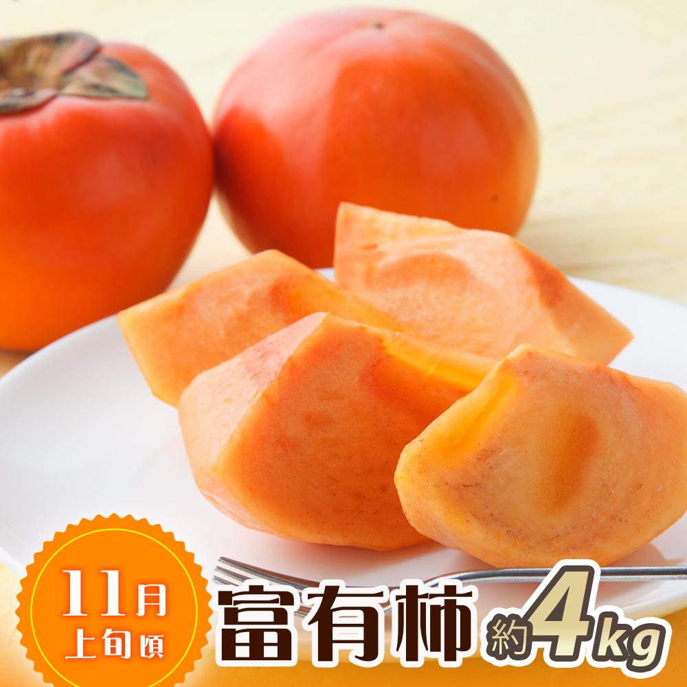 和歌山県那智勝浦町の画像3