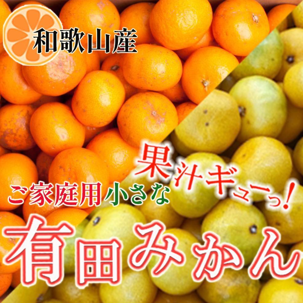 楽天市場】有田みかん10キロの通販 楽天市場】有田みかん10キロの通販