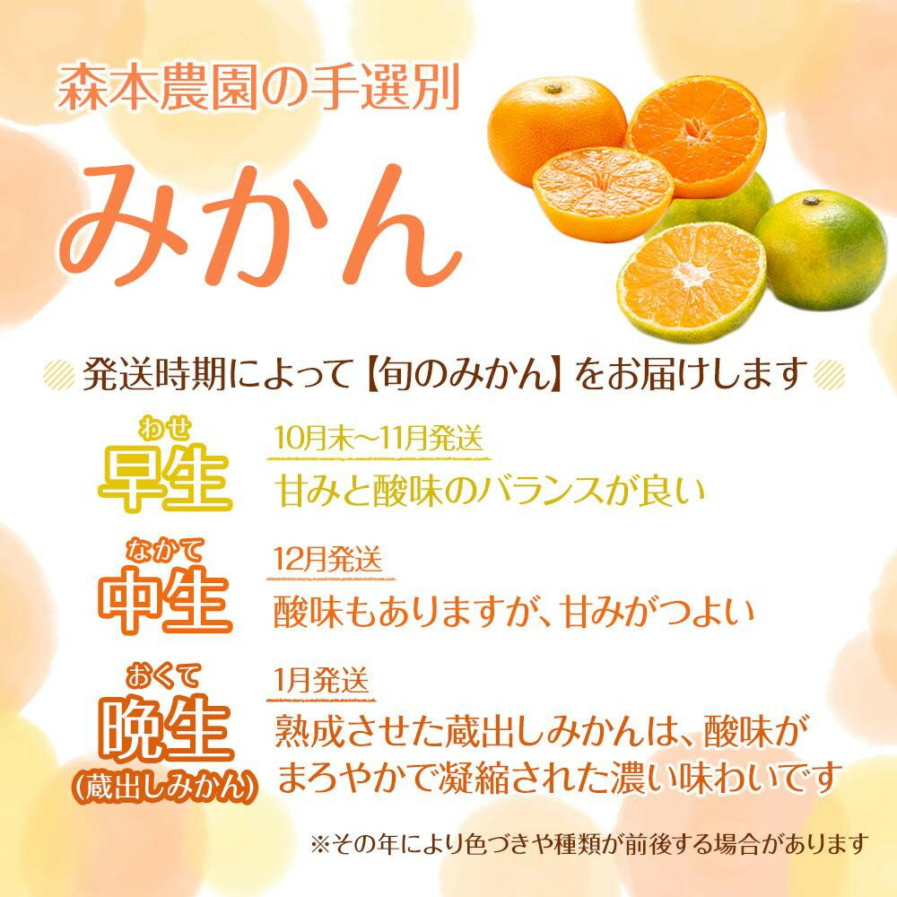 和歌山県那智勝浦町の画像2