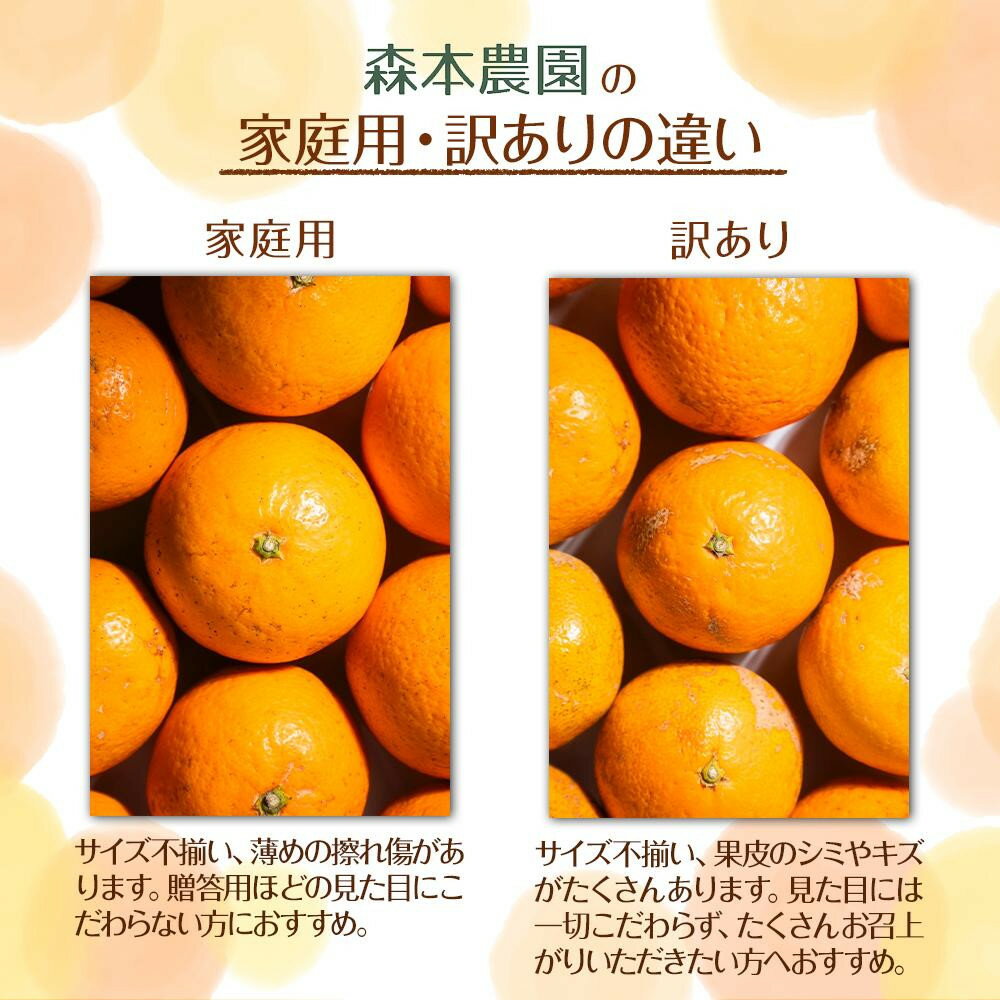 和歌山県那智勝浦町の画像3