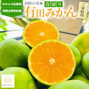 【ふるさと納税】有田育ちのご家庭用青切り有田みかん 約3~10kg 【 2025年9月~10月発送】 | 和歌山県 和歌山 那智勝浦町 返礼品 蜜柑 果物 くだもの フルーツ 果実 旬の果物 旬のフルーツ 柑橘類 かんきつ類 柑橘 柑橘系 訳あり 家庭用(4)