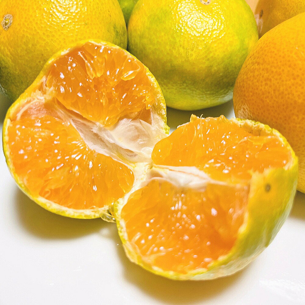 和歌山県那智勝浦町の画像2