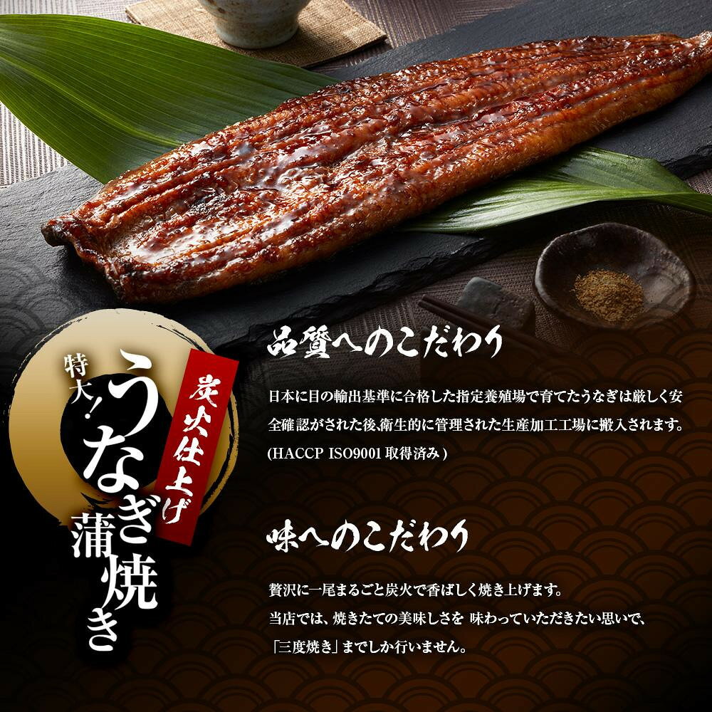 和歌山県那智勝浦町の画像3