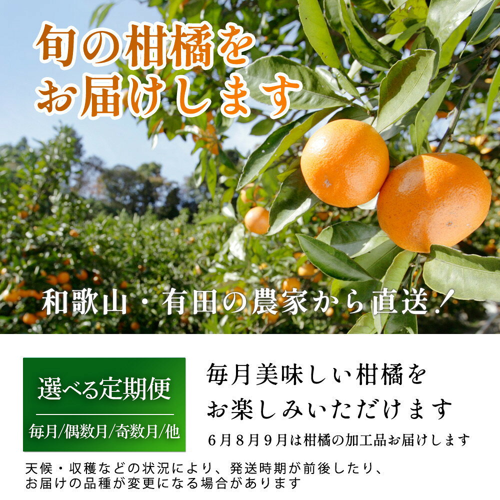 和歌山県那智勝浦町の画像2