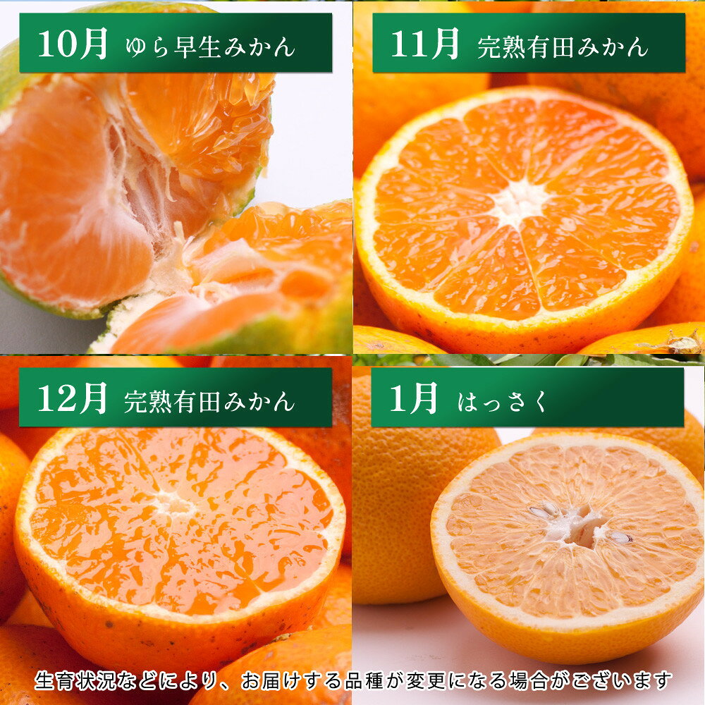 和歌山県那智勝浦町の画像3