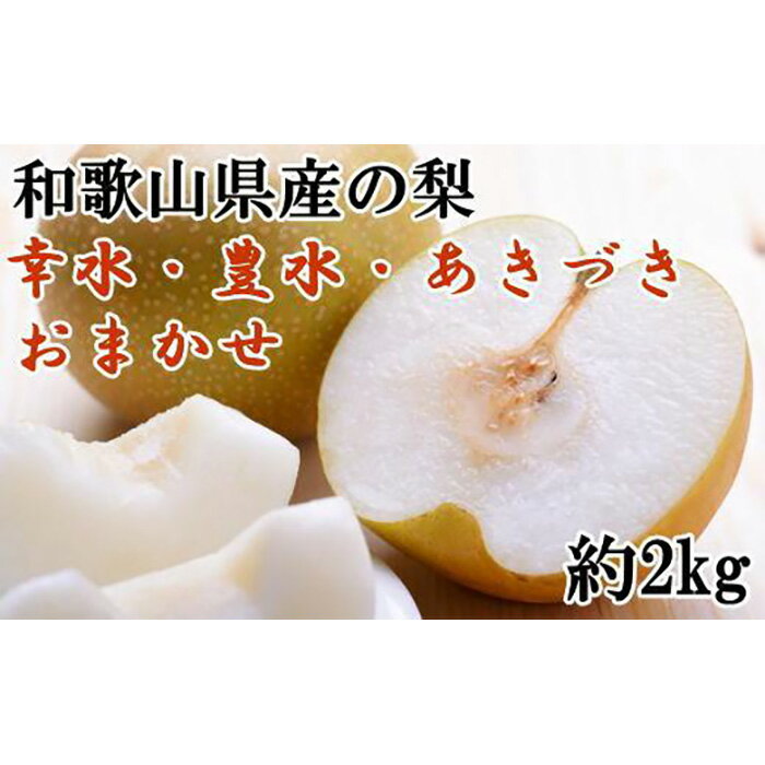 梨 【ふるさと納税】和歌山県産の梨約2kg(品種おまかせ)★2024年8月下旬頃より順次発送 | 返礼品 果物 くだもの フルーツ 果実 旬の果物 旬のフルーツ 旬の味覚 食べ物 たべもの お取り寄せ 名産品 特産品 お土産 なし ナシ 子供 おやつ プレゼント 贈り物 ギフト