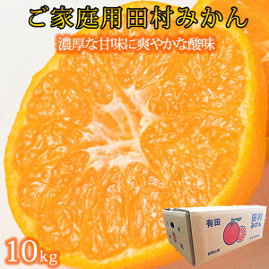 【ふるさと納税】【ご家庭用訳あり】田村みかん 10kg|数量限定 期間限定 みかん 蜜柑 柑橘 果物 フルーツ おすすめ 人気 和歌山県 和歌山 那智勝浦町 返礼品 ミカン 田村みかん くだもの 果実 旬の果物 旬のフルーツ 柑橘類 かんきつ類 かんきつ 柑橘系 美味しい おいしい