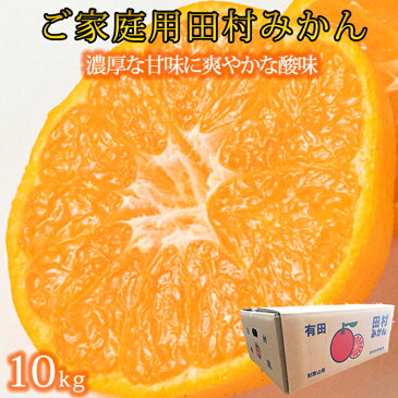 【ふるさと納税】【ご家庭用訳あり】田村みかん 10kg|数量限定 期間限定 みかん 蜜柑 柑橘 果物 フルーツ おすすめ 人気 和歌山県 和歌山 那智勝浦町 返礼品 ミカン 田村みかん くだもの 果実 旬の果物 旬のフルーツ 柑橘類 かんきつ類 かんきつ 柑橘系 美味しい おいしい