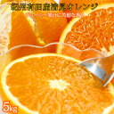 とにかくジューシー清見オレンジ　5kg | 和歌山県 和歌山 那智勝浦町 返礼品 オレンジ 柑橘類 かんきつ類 柑橘 かんきつ 柑橘系 果物 くだもの フルーツ 果実 清見オレンジ 食べ物 たべもの 美味しい