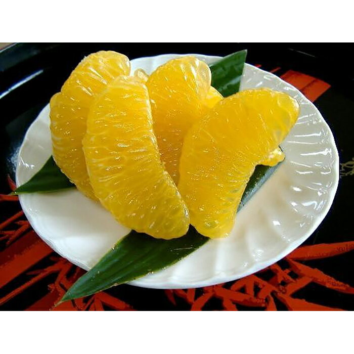 【ふるさと納税】和歌山由良町産さつきはっさく 約10kg ［訳あり ご家庭用 赤秀・青秀］サイズ混合 ［SL42］ | 和歌山県 和歌山 那智勝浦町 返礼品 八朔 はっさく 果物 くだもの フルーツ 果実 旬の果物 旬のフルーツ 柑橘類 かんきつ類 柑橘