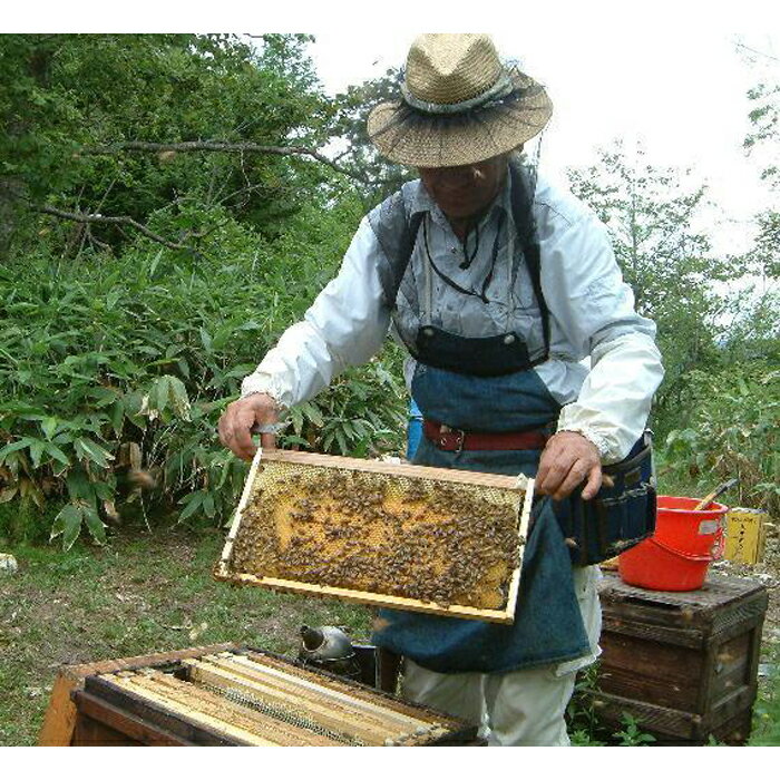 【ふるさと納税】熊野古道 峠の蜂蜜3本セット 【SW71】 | 和歌山県 和歌山 那智勝浦町 蜂蜜 ハチミツ はちみつ 名産品 特産品 お土産 お取り寄せ プレゼント ギフト 贈り物 贈答品 美味しい おいしい 食べ物 たべもの 調味料 甘味料 国産蜂蜜 国産はちみつ 国産ハチミツ