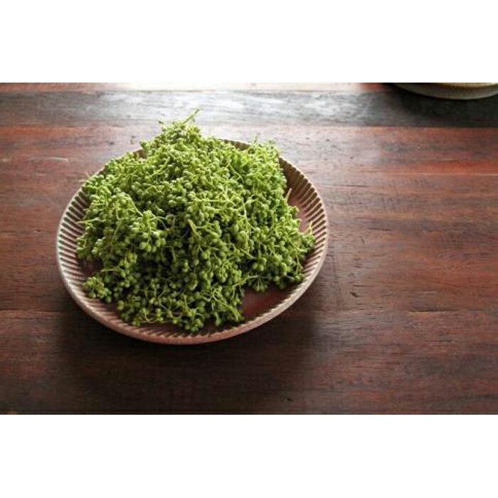 和歌山県那智勝浦町の画像3