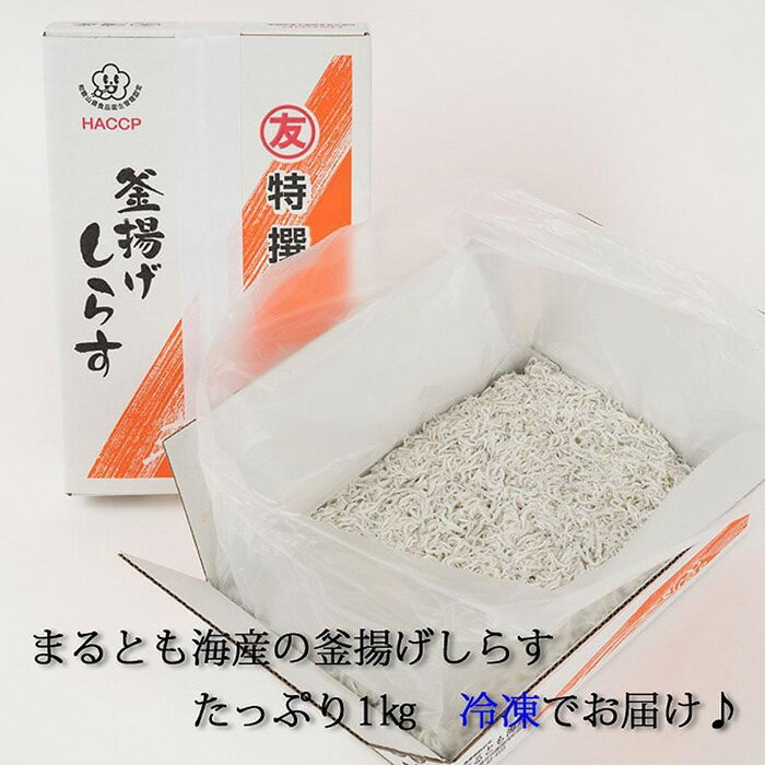紀州湯浅湾直送!茹でたて釜揚げしらす 箱入 1kg [冷凍] | 和歌山県 和歌山 那智勝浦町 返礼品 しらす シラス 釜揚げしらす 名産品 特産品 お土産 ご飯のお供 ごはんのお供 ごはんのおとも ご飯のおとも 酒のつまみ おつまみ 酒の肴 取り寄せ グルメ