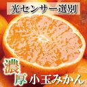 【ふるさと納税】家庭用 小玉な有田みかん 5kg+150g（