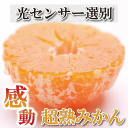 【ふるさと納税】家庭用 超熟有田みかん 5kg+150g（傷み補償分）訳あり＜2024年11月より発送＞