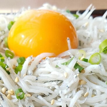 【ふるさと納税】【海南塩津の港から直送】こだわりの冷蔵新鮮釜揚げしらす350g×2