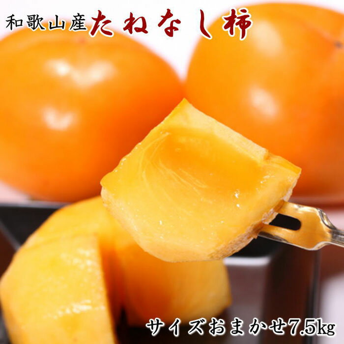 【ふるさと納税】和歌山産たねなし柿（サイズおまかせ）約7.5