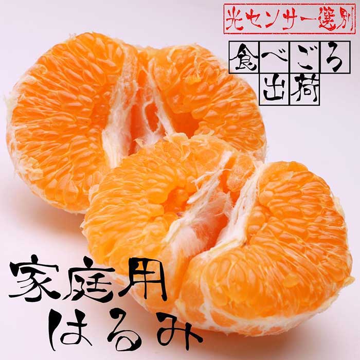 【ふるさと納税】＜2月発送＞家庭用はるみ3kg+90g（傷み補償分）【デコポンの姉妹品種】【光センサー選別】【わけあり・訳あり】のサムネイル