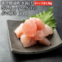 【ふるさと納税】【訳あり】丼にぴったり!那智勝浦町水揚げびんちょうマグロのぶつ切り(5パック)【不揃い】(計1.5kg) | 魚 お魚 さかな 食品 人気 おすすめ 送料無料 産地直送 新鮮 那智勝浦 まぐろ 鮪 びんちょうまぐろ 訳あり 家庭用