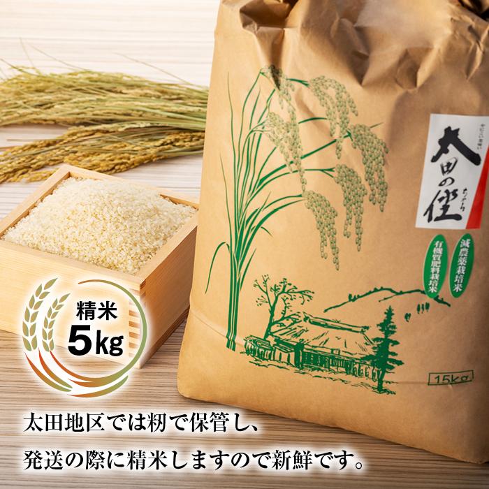 和歌山県那智勝浦町の画像3