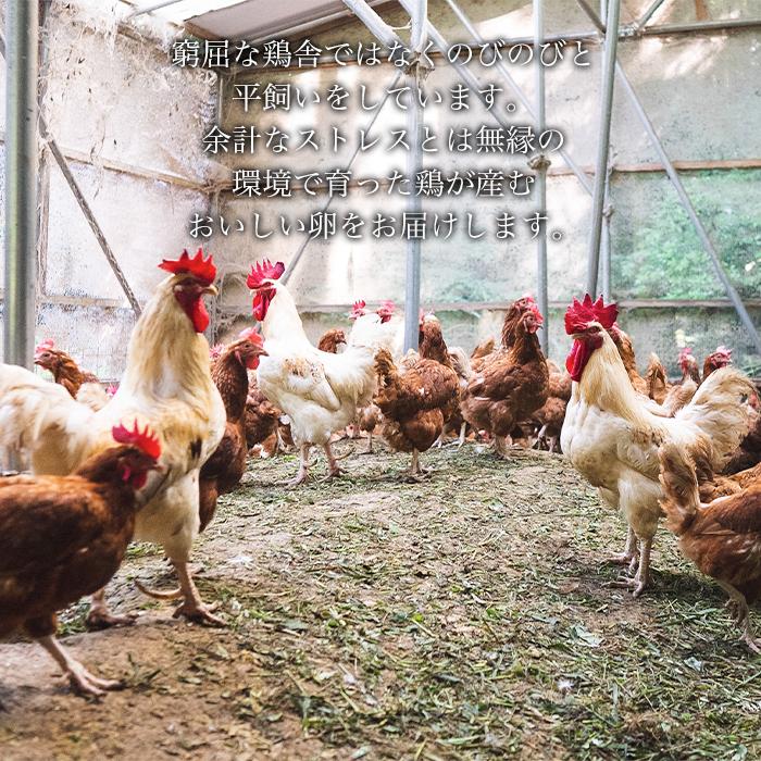 【ふるさと納税】国産飼料にこだわった鶏が産む安...の紹介画像3