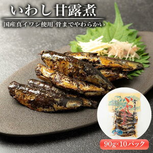 【ふるさと納税】国産真イワシ使用 骨までやわらかい　いわし甘露煮（90g×10パックセット） | 和歌山 那智勝浦町 返礼品 魚 さかな いわし 鰯 イワシ お惣菜 おかず お取り寄せグルメ 名産品 特産品 ご飯のお供 ごはんのお供 ごはんのおとも ご飯のおとも おつまみ