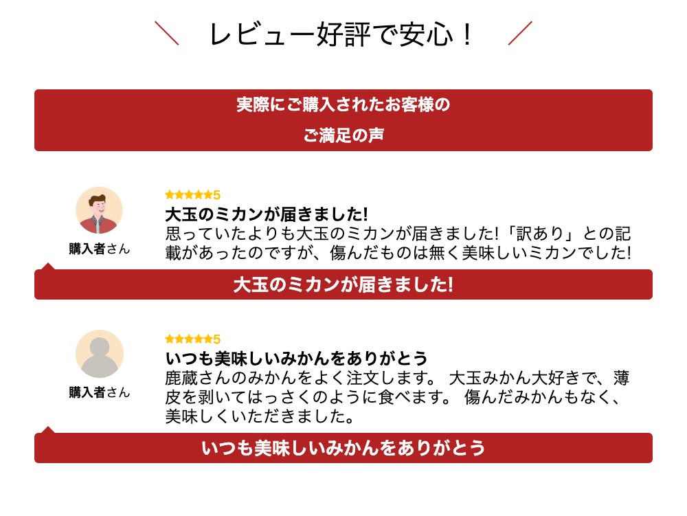 【ふるさと納税】家庭用 大きな有田みかん5kg+150g（傷み補償分）訳あり＜11月より発送＞ | フルーツ みかん くだもの　果物　大玉みかん 甘い 人気 おすすめ 　光センサー　送料無料　