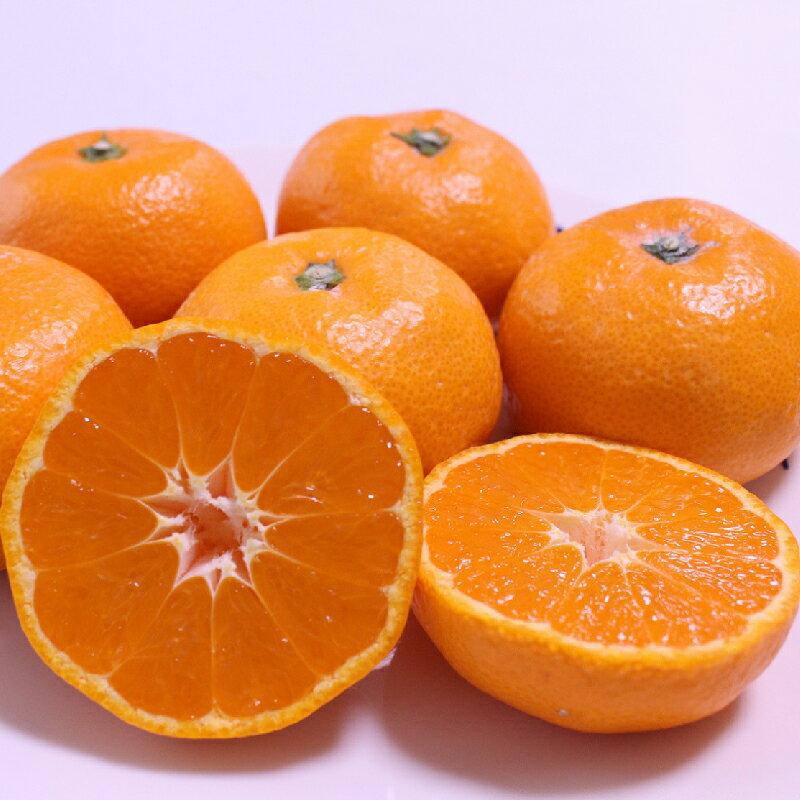 和歌山県太地町の画像3