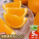 【ふるさと納税】 【先行予約】 \ みかんの名産地 和歌山県産/ 農家直送 完熟清見オレンジ 5kg (M~2Lサイズおまかせ) ひとつひとつ手選別で厳選【2026年3月中旬~4月下旬ごろに順次発送予定】【hdm003A】