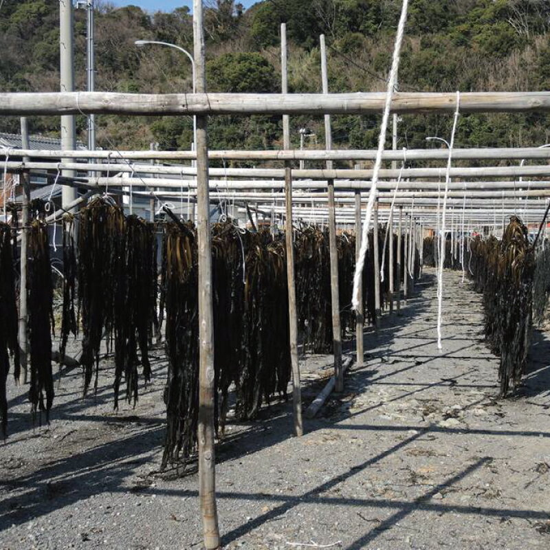 和歌山県太地町の画像3