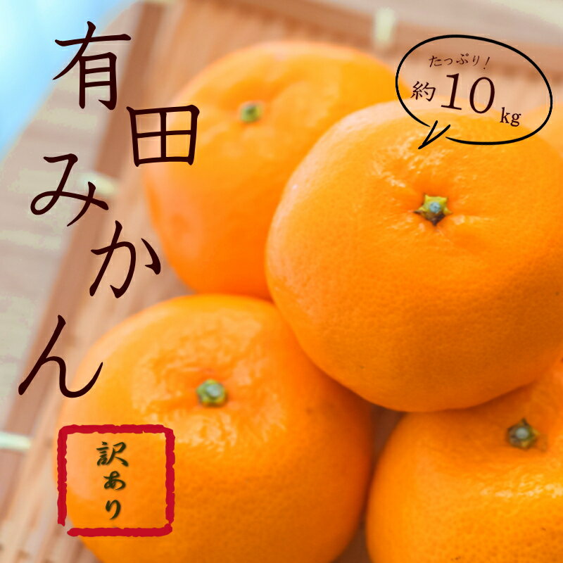 紀州有田みかん 約10kg 訳あり キズ 御家庭用 サイズ混合 みかん ミカン 柑橘 有田みかん 和歌山