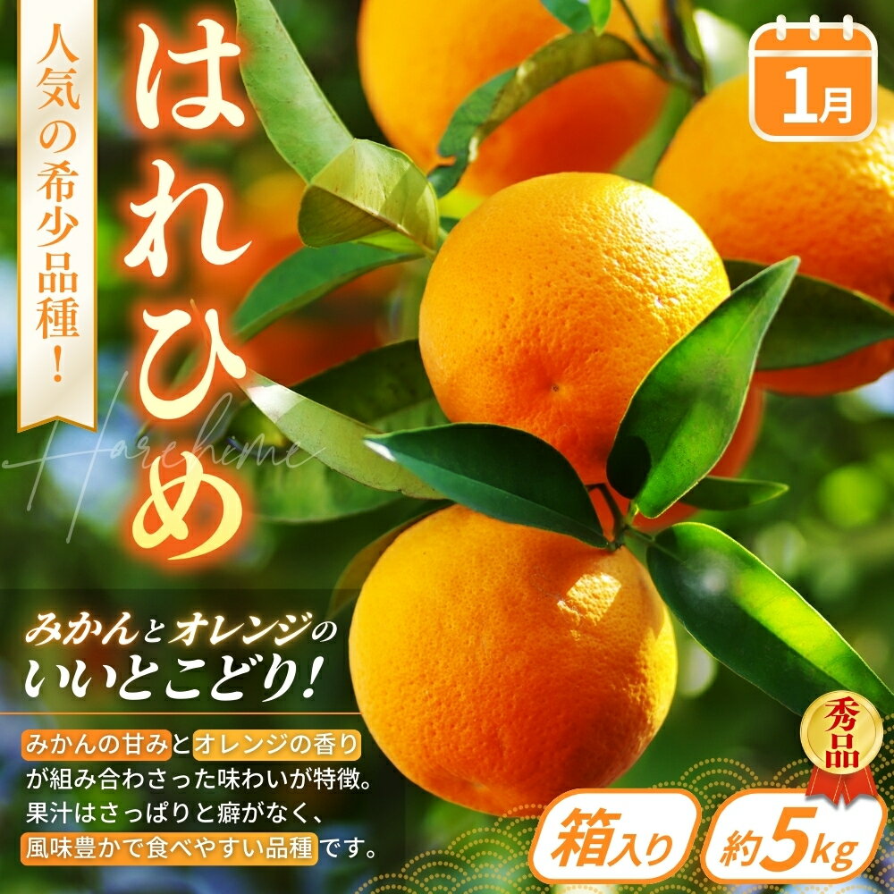 和歌山県太地町の画像2