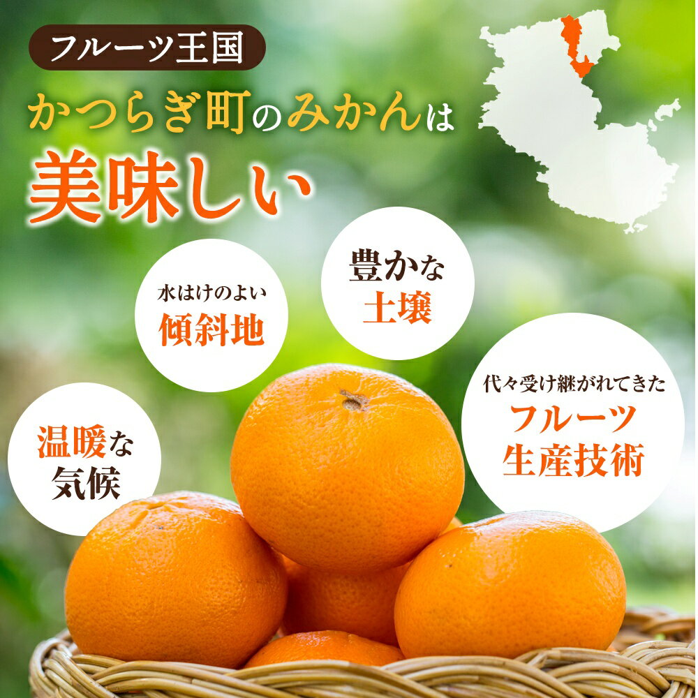 和歌山県太地町の画像3