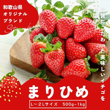 【先行予約】まりひめ いちご 12粒～15粒入り×2パック or 4パック（500g or 1kg） 2025年1月初旬～2025年3月末頃に順次発送予定（お届け日指定不可）/ いちご 苺 まりひめ 和歌山 フルーツ 果物 くだもの