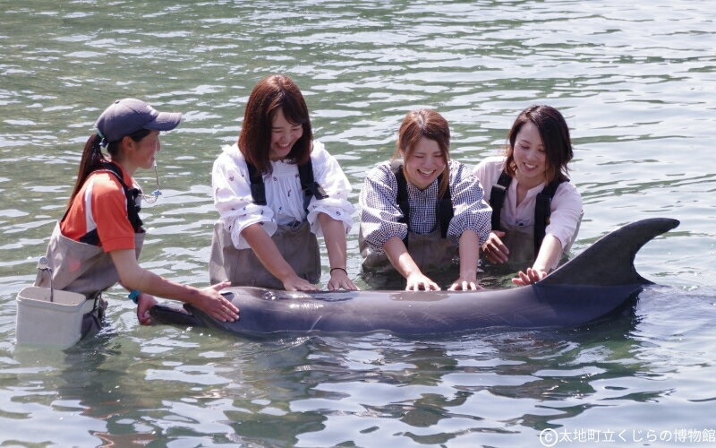 和歌山県太地町の画像2