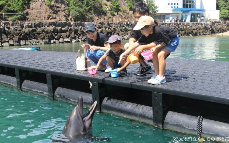 和歌山県太地町の画像3