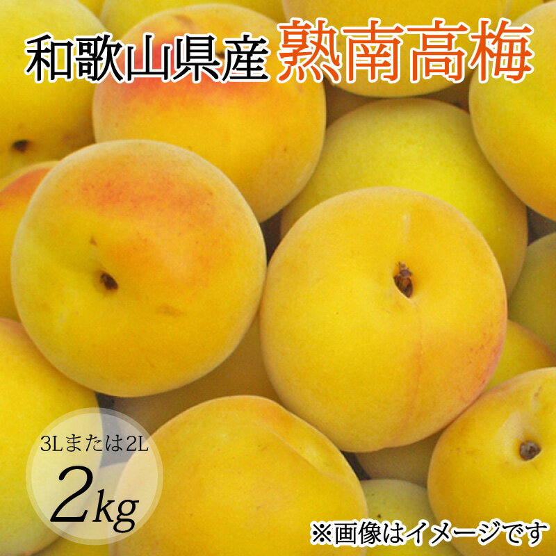 【ふるさと納税】 【梅干・梅酒用】(3Lまたは2L−2Kg)熟南高梅<2025年6月上旬〜7月上旬ごろに順次発送予定> (お届け指定日不可)